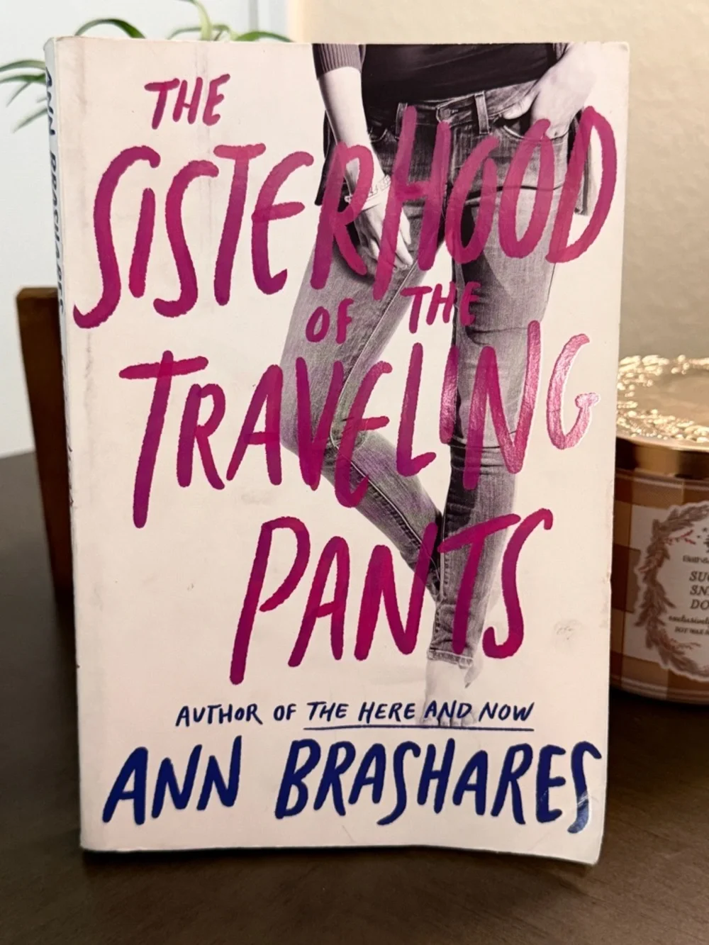 The Sisterhood of the Traveling Pants Book